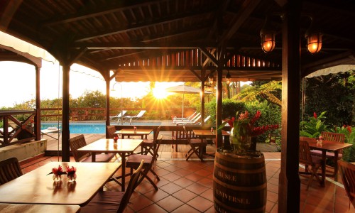 Le Jardin Malanga